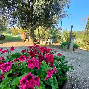https://azienda-agricola-polveraia.it-tuscanyhotel.com